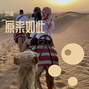 911柚子猫盛世容颜小僵尸
