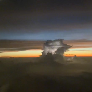 911柚子猫盛世容颜小僵尸
